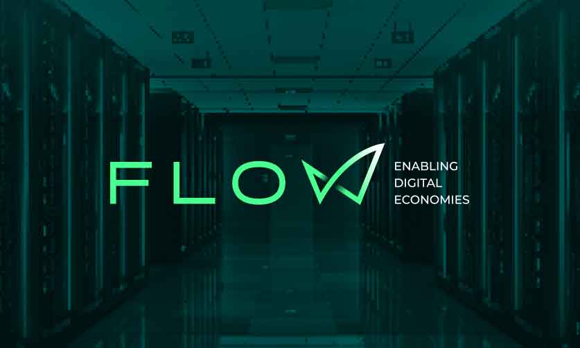 Introducing FLOW Digital Infrastructure
